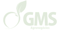 Logo GMS Agronegócio
